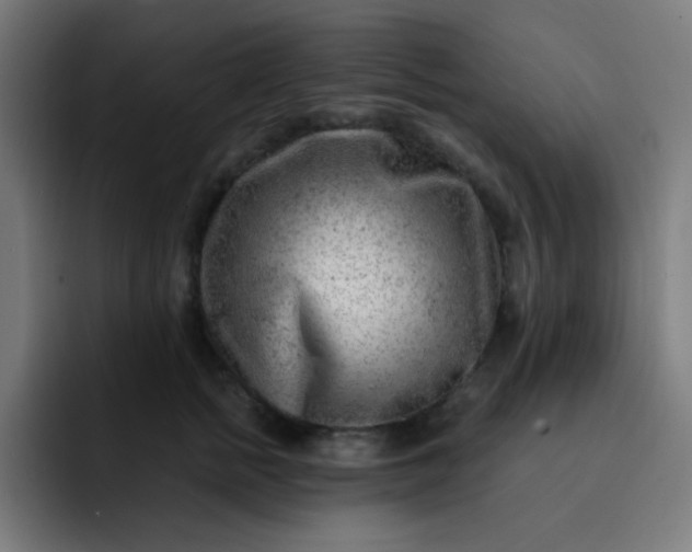 X0000093210758200710101326