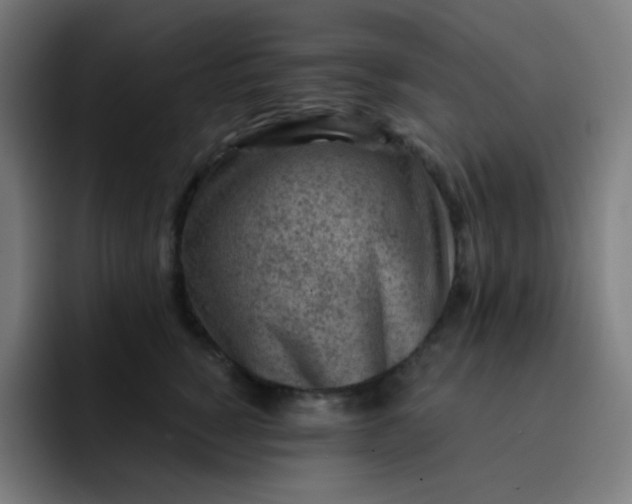 X0000093210760200710101326