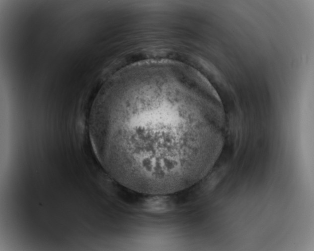 X0000093210761200710101326