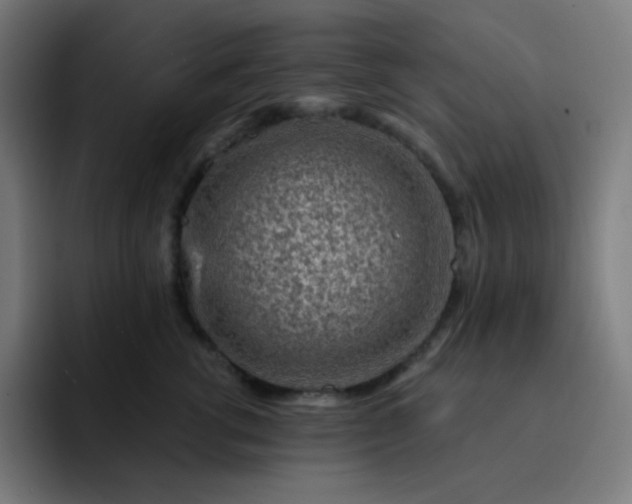 X0000093210762200710101326