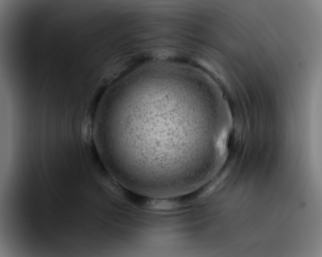 X0000093210766200710101326