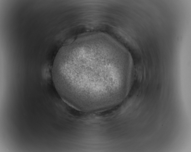 X0000093210770200710101326