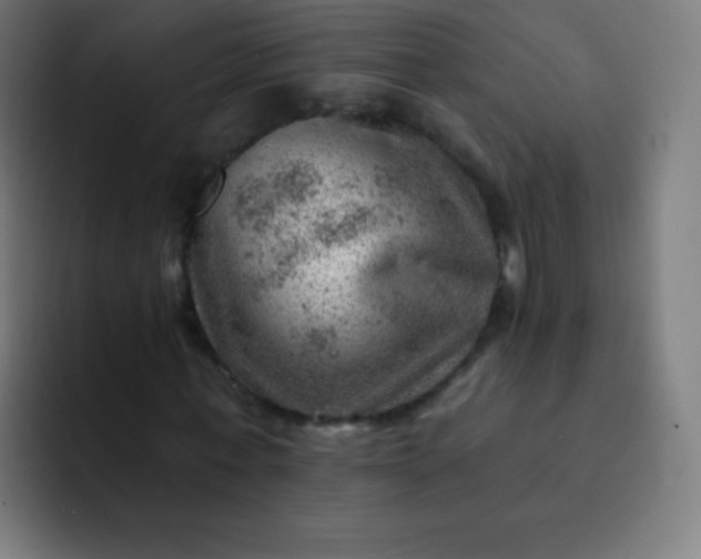 X0000093210771200710101326