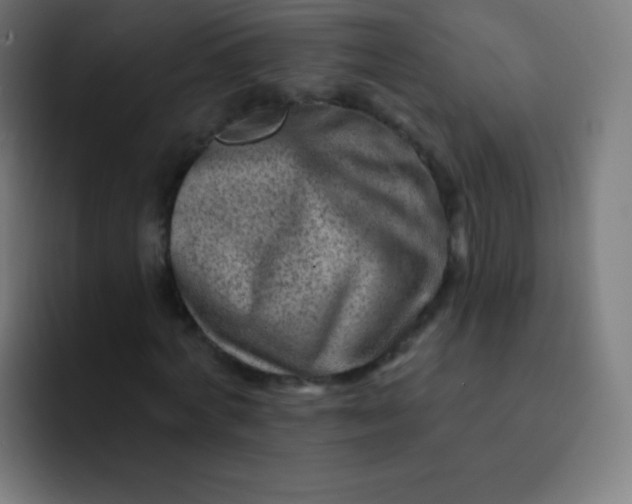 X0000093210772200710101326