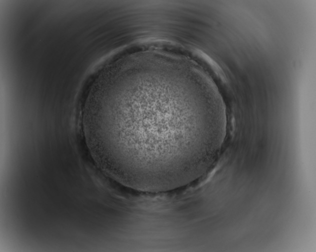 X0000093210775200710101326