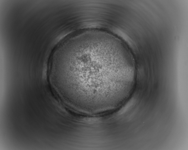 X0000093210778200710101326