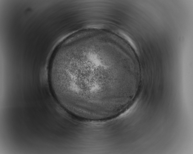 X0000093210779200710101326