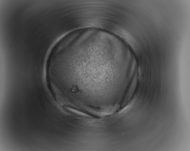 X0000093210780200710101326