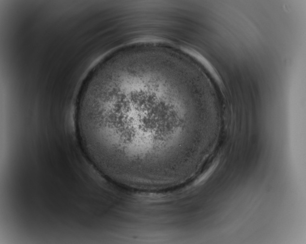 X0000093210783200710101326