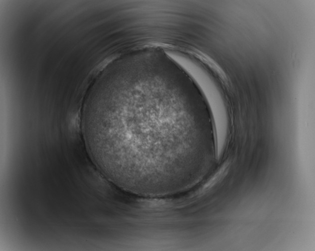 X0000093210785200710101325