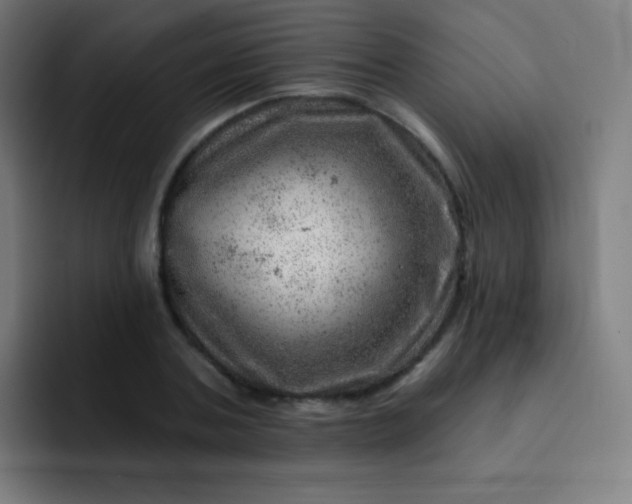 X0000093210787200710101325