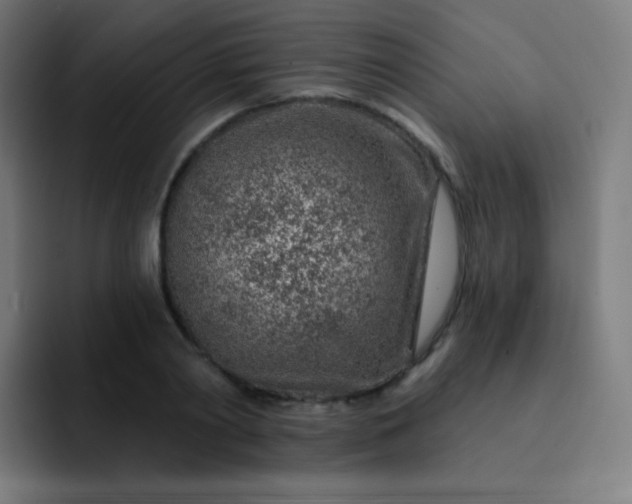 X0000093210790200710101325