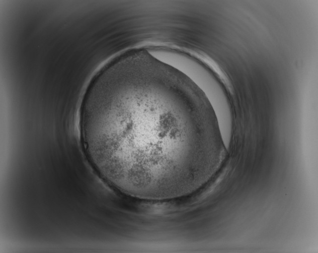 X0000093210791200710101325