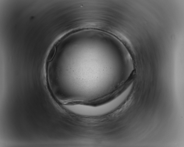 X0000093210792200710101325