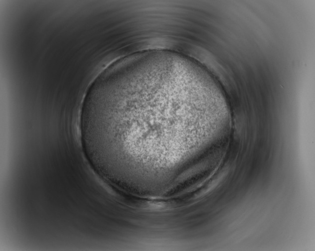 X0000093210794200710101325