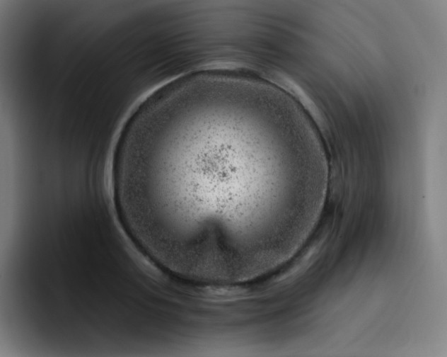 X0000093210795200710101325