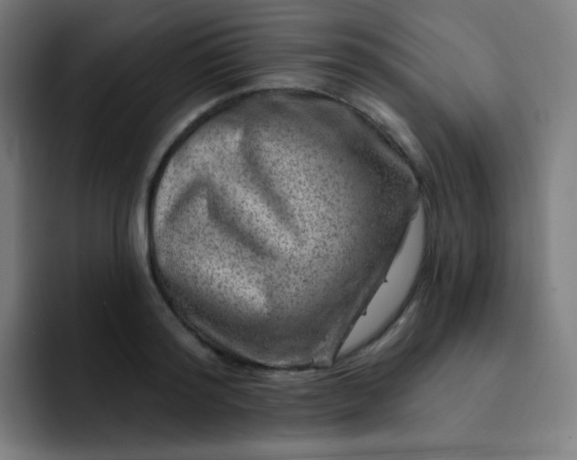 X0000093210796200710101325