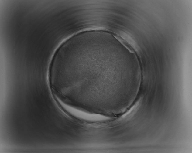 X0000093210797200710101325