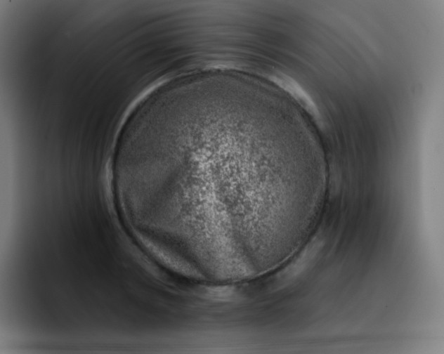 X0000093210798200710101325