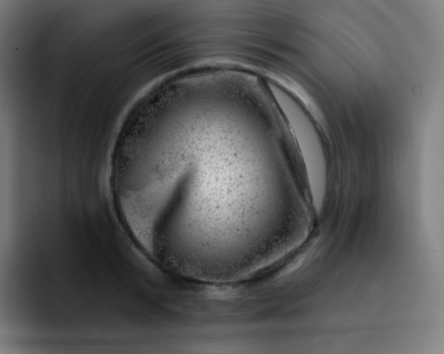 X0000093210799200710101325