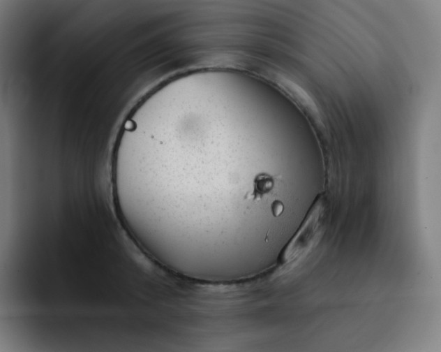 X0000093210800200710101325