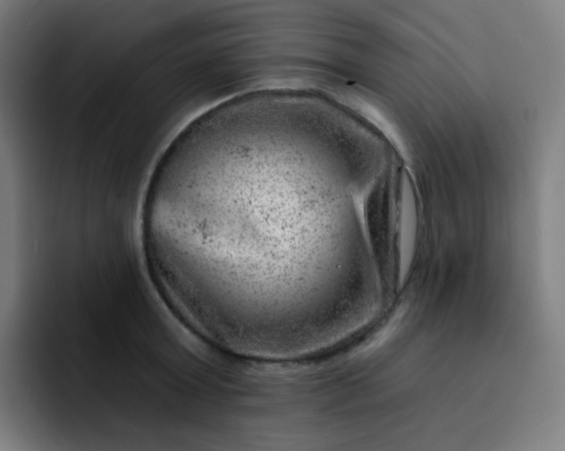 X0000093210803200710101325