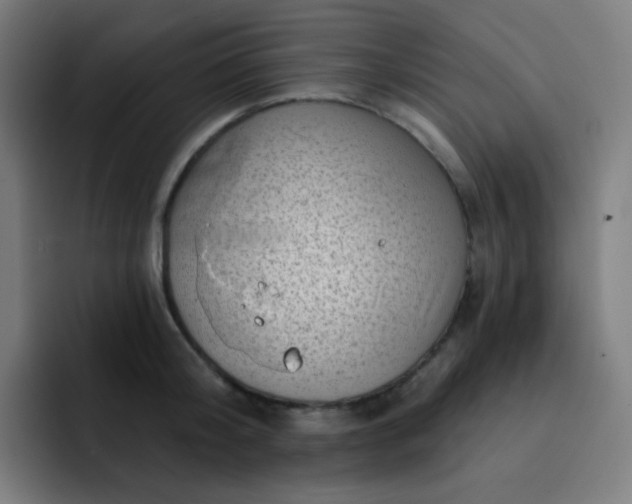 X0000093210804200710101325