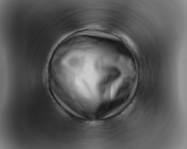 X0000093210808200710101325