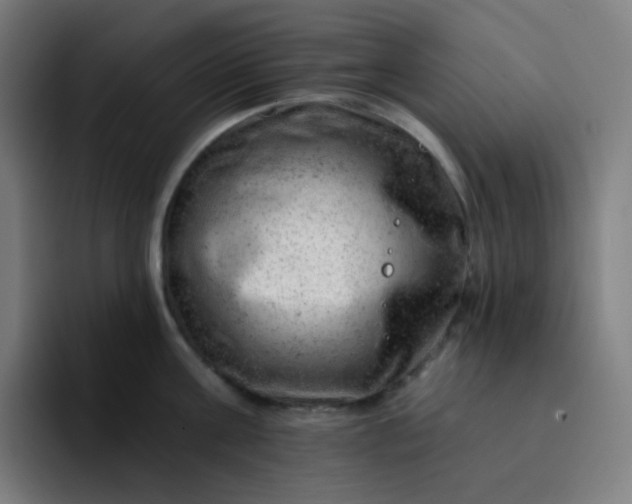 X0000093210811200710101325