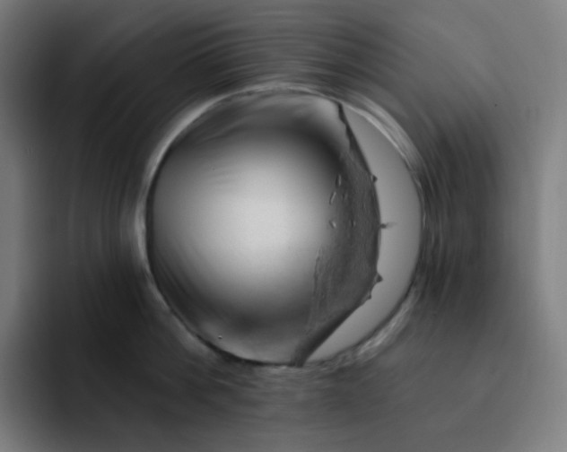 X0000093210812200710101325