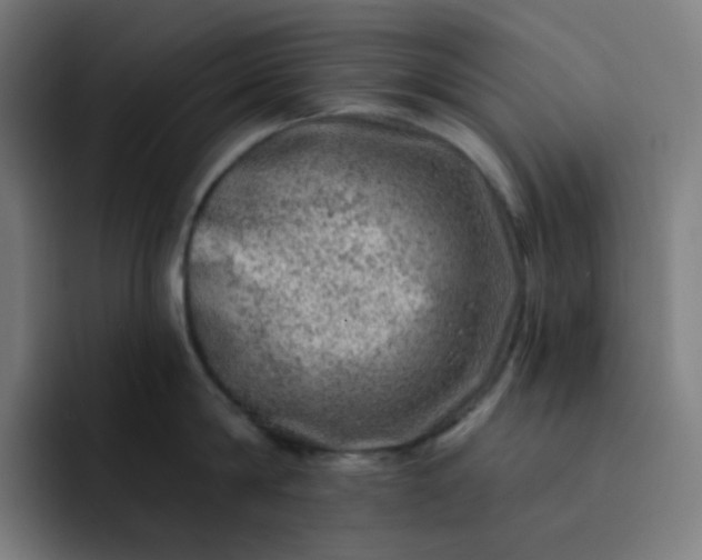 X0000093210814200710101325