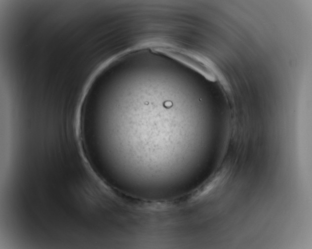 X0000093210815200710101325