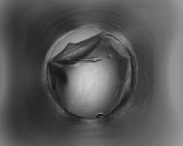 X0000093210816200710101325