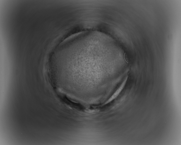 X0000093210817200710101325