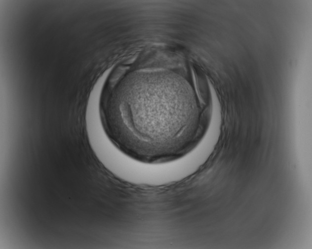 X0000093210818200710101325