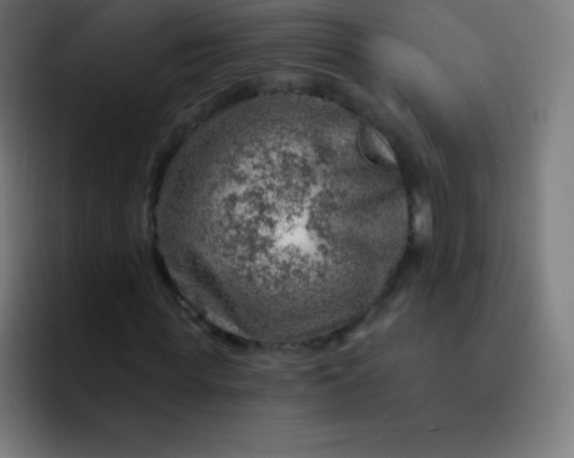 X0000093210819200710101325