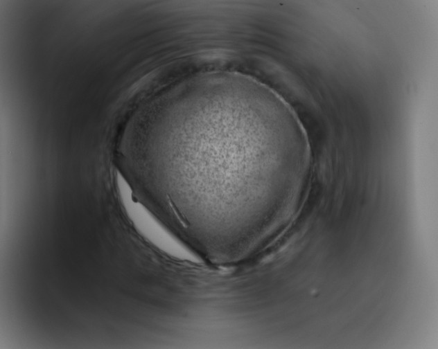 X0000093210821200710101325