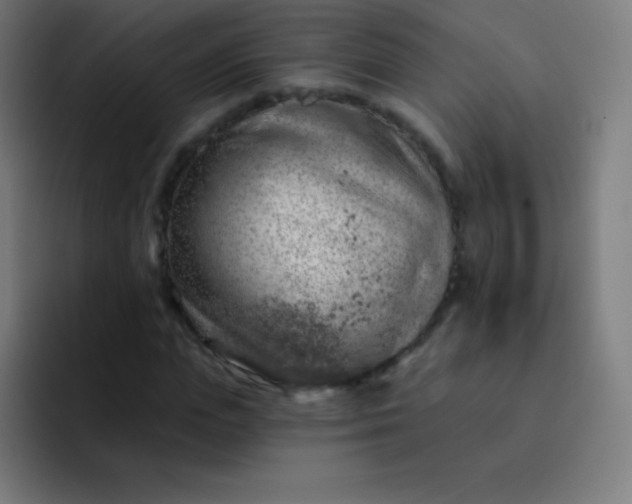 X0000093210823200710101325