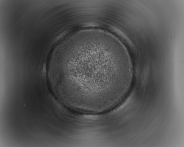 X0000093210825200710101325