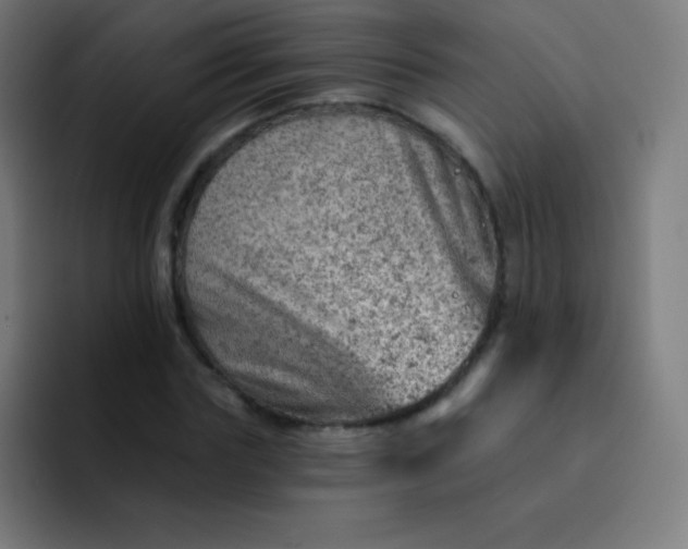 X0000093210827200710101325