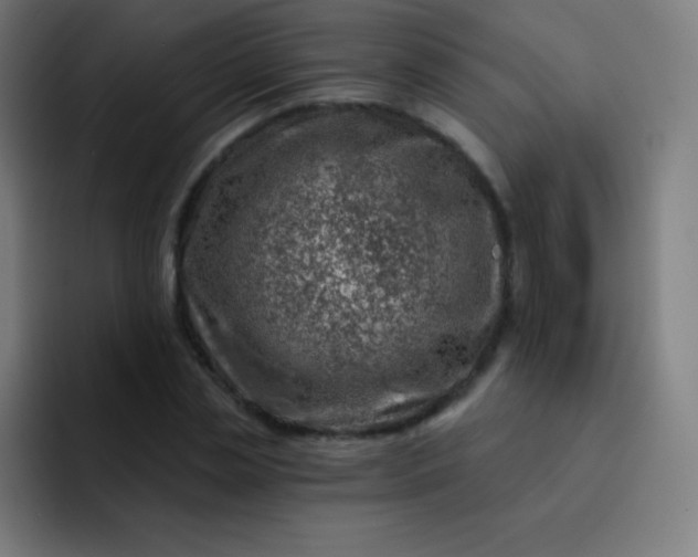 X0000093210829200710101325