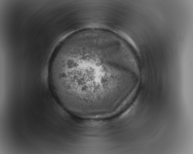 X0000093210831200710101325