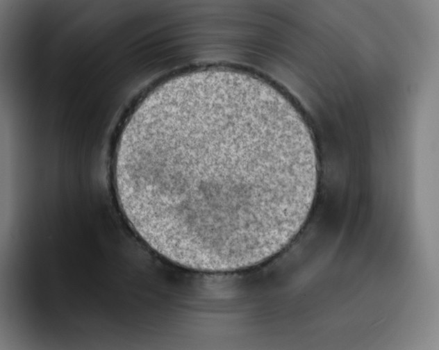 X0000093210832200710101325