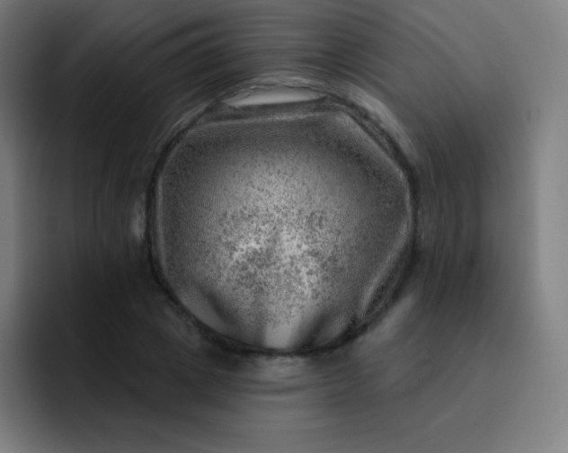 X0000093210833200710101325