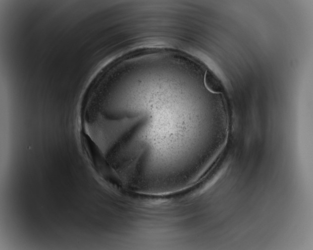 X0000093210837200710101325