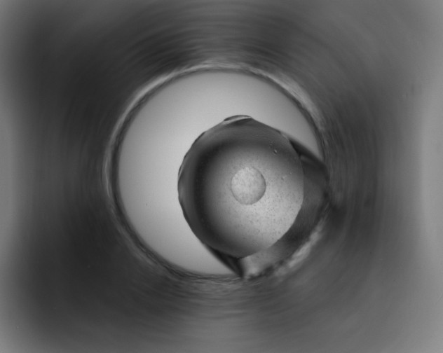 X0000093210838200710101325