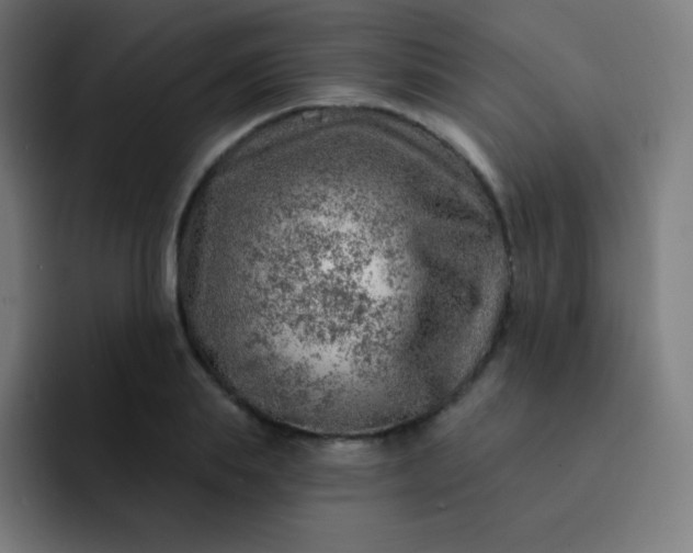 X0000093210839200710101325