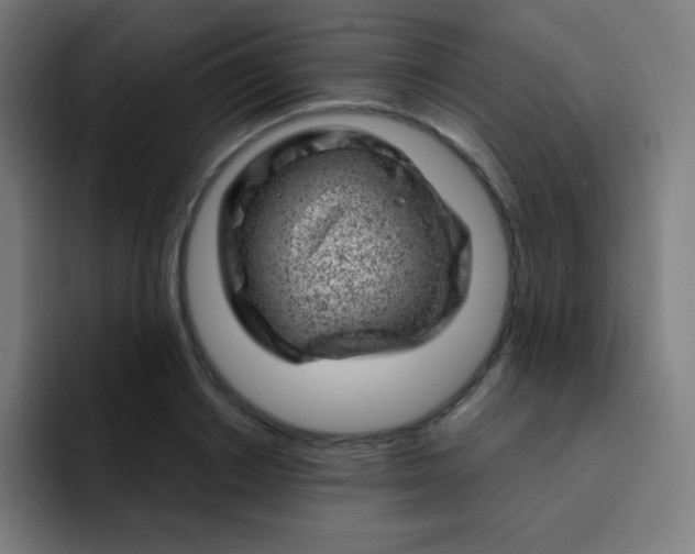 X0000093210842200710101325