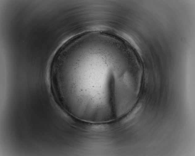 X0000093210843200710101325