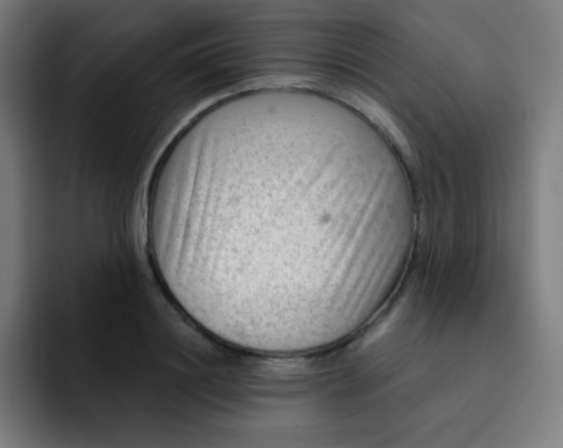 X0000093210844200710101325